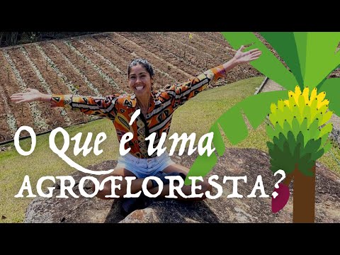 O que é Agrofloresta? thumbnail