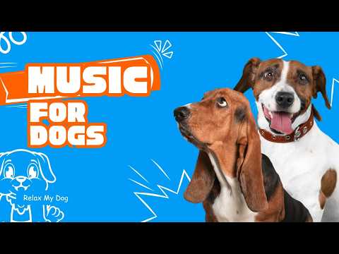 10 HOURS of Dog Relaxing Music 💖🦮 Long Relaxing Music Session for Calm Dogs thumbnail