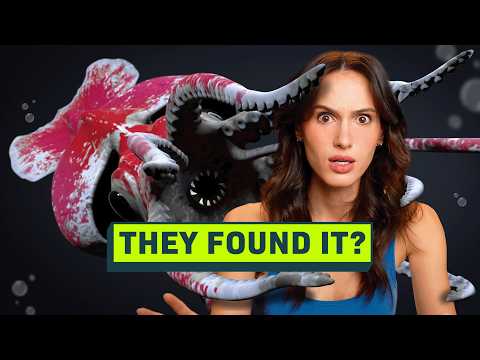 The New Hunt for the Colossal Squid thumbnail