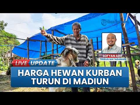 Lapak Penjual Hewan Kurban Bermunculan di Madiun, Harga Kambing Turun Dibandingkan Tahun Lalu thumbnail
