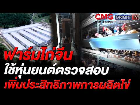ฟาร์มไก่จีนใช้หุ่นยนต์ตรวจสอบสุขภาพและระบบอัตโนมัติในฟาร์ม เร่งเพิ่มประสิทธิภาพการผลิตไข่ thumbnail