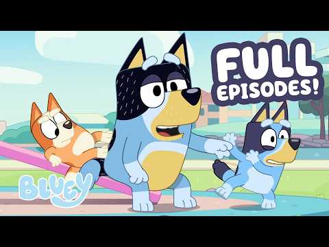 🔴LIVE: Bandit Takes Over the Seesaw   ⭐️ | 2 HOURS+ Bluey Full Episodes 💙 | Bluey thumbnail