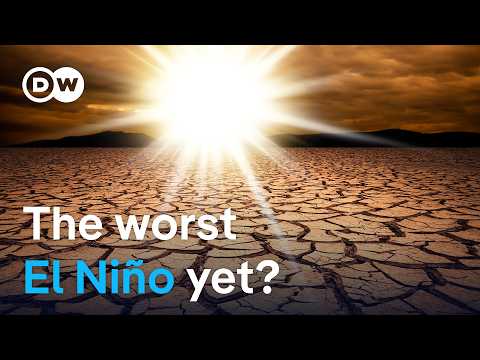The climate phenomenon that makes the world even hotter is returning | DW News thumbnail