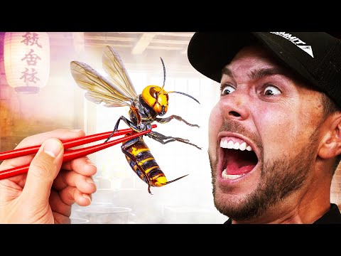 Eating Murder Hornets! Most Painful Bug Rituals thumbnail
