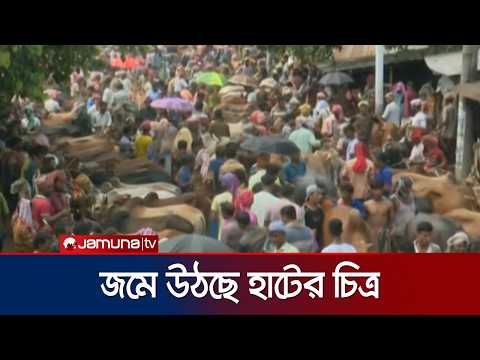 হাটে ক্রেতা থাকলেও বিক্রি তেমন হচ্ছে না দাবি রাজশাহীর বিক্রেতাদের | Rajshahi Hat | Jamuna TV thumbnail