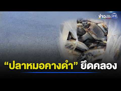 “ปลาหมอคางดำ” ยึดคลองวอนรัฐแก้ l ตลาดข่าว - ข่าวเช้าเวิร์คพอยท์ l 2 มิ.ย.69 thumbnail