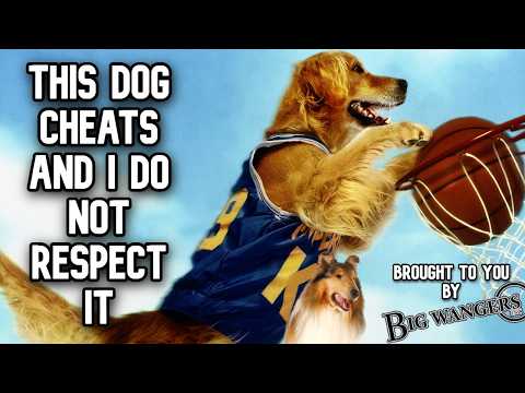 44 Minute Video Discussing the Ethics of Tackling Airbud (Featuring Lassie) thumbnail