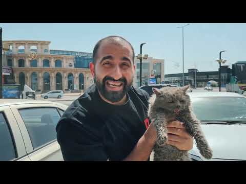انقاذ قطة منزلية مرميه في الشارع! thumbnail