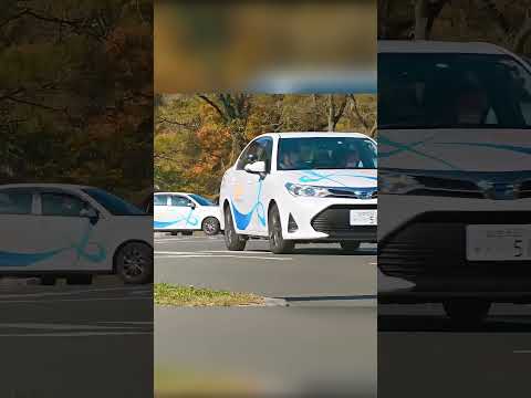 🦅🧠 الغراب العبقري وحيلة الجوزة الذكية 🌰🚗💧 thumbnail