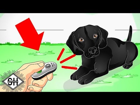 WikiHow Images [Feat. RTGame] thumbnail