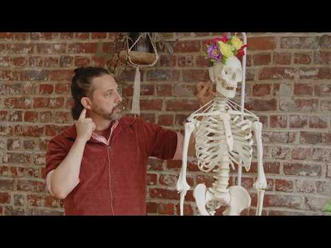 Workshop: The Practitioner's vocal toolkit w/ Robert Sussuma thumbnail