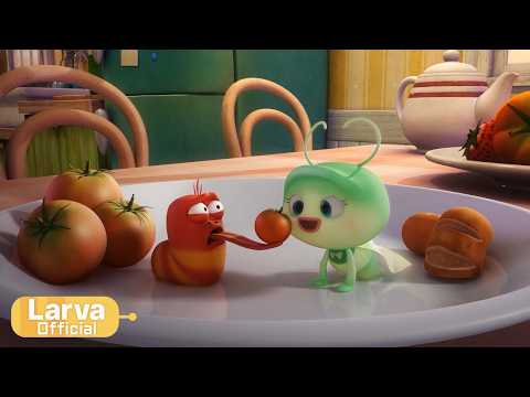 LOVE | Animation Compilation | Larva Tuba | Official thumbnail