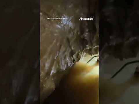 WATCH: Rescuers break down in tears after saving people trapped inside flooded cave  #fox #media # thumbnail
