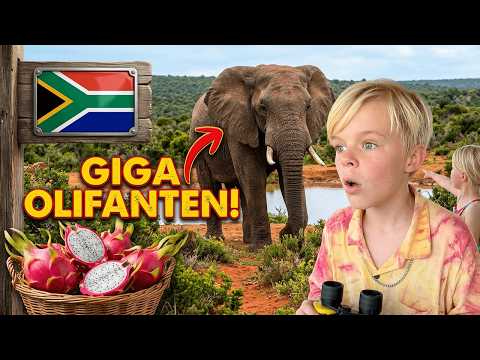 50 GRADEN!!! 🥵  AFRIKAANSE OLIFANTEN in Addo Elephant Park 🐘 🇿🇦 | Bellinga Vlog #3526 thumbnail
