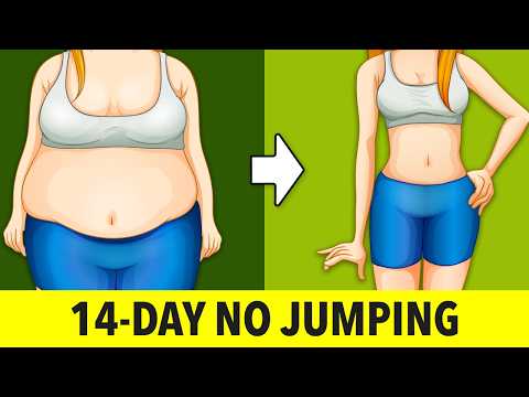 14-Day Standing Workout (No Jumping) – Lose Belly Fat thumbnail