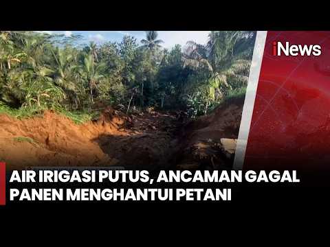 Tanggul Irigasi Jebol, Ratusan Hektare Sawah Terancam Gagal Panen | iNews Siang 30/5 thumbnail