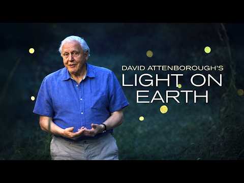 David Attenborough’s Light on Earth | Free Documentary Nature thumbnail