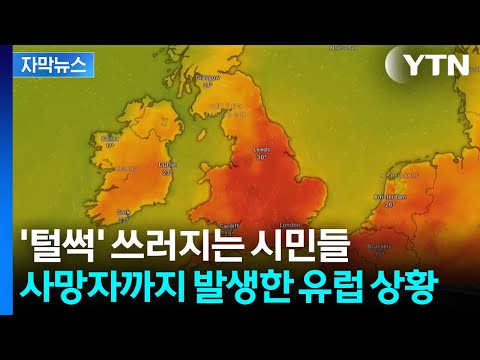 [자막뉴스] 5월에 40도 치솟은 유럽...'열돔'에 갇힌 채로 결국 사망자 속출 / YTN thumbnail
