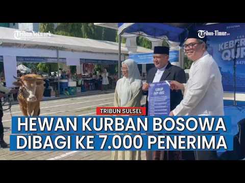 Bosowa Peduli Kurban 98 Sapi dan 37 Kambing, Tersebar di 10 Provinsi thumbnail