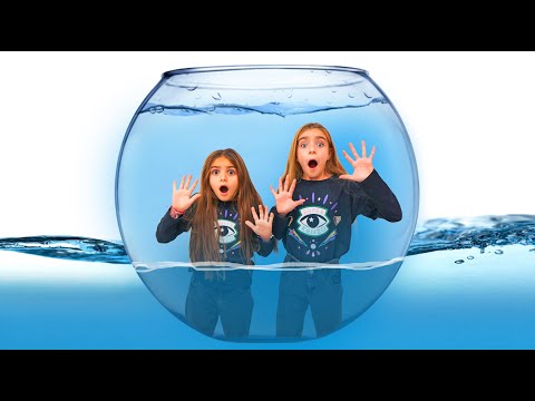 Gisele y Claudia juegan con los aqua dragons Las ratitas thumbnail