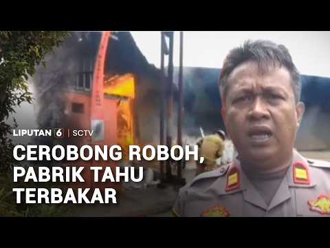 Cerobong Roboh, Pabrik Tahu Terbakar | Liputan 6 thumbnail