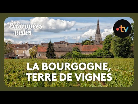 La Bourgogne, terre de vignes - Échappées belles thumbnail