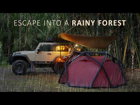 SOLO Camping in a RAINY Bamboo Forest[ Relax Eat Sleep Repeat, ASMR ] thumbnail