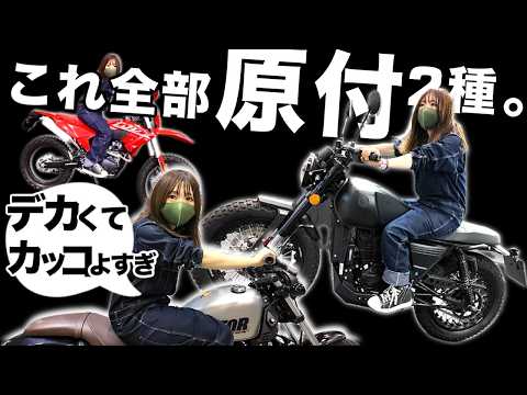 最新ヤバい原付10連発！迫力凄すぎ125ccバイクや遊べる原付1種！モトラ復活などMCSから実車映像！ thumbnail
