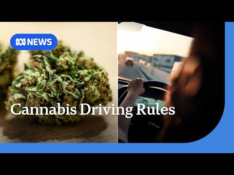Cannabis driving limit change to give 'freedom' to medicinal users in NSW | ABC NEWS thumbnail