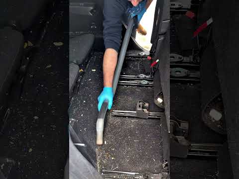 How many cars can you count in the video? #cleaningcar #washingcar #asmr thumbnail