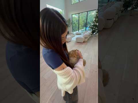 Kat eyes conocimos suki #katteyes thumbnail