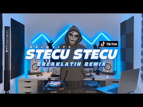 DISCO HUNTER - Stecu Stecu (Extended Mix) thumbnail