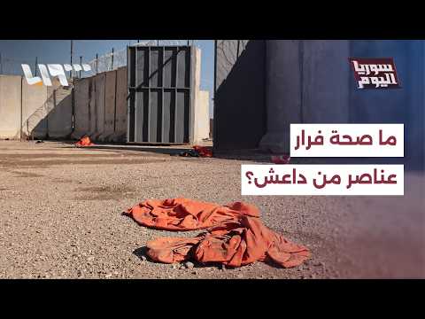 ما صحة تقارير فرار عناصر من داعش في سوريا وما خطورتها؟ | سوريا اليوم thumbnail