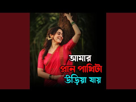 আমার প্রান পাখিটা উড়িয়া যায় | Amar Pran Pakhita... thumbnail