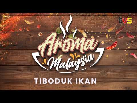 Tiboduk Ikan | Aroma Malaysia Ep 1 | TVS Entertainment thumbnail