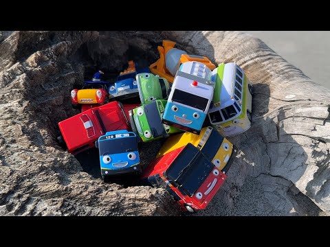 Tayo the Little Bus on the beach☆Play with 12 Tayo series buses! thumbnail