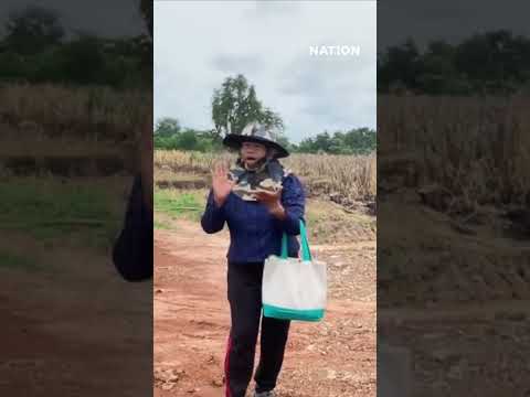 ศึกที่ดินปะทุ "เจ๊รัตน์" ขวางชาวบ้านเข้าทำกิน | ยุคลชนข่าว thumbnail