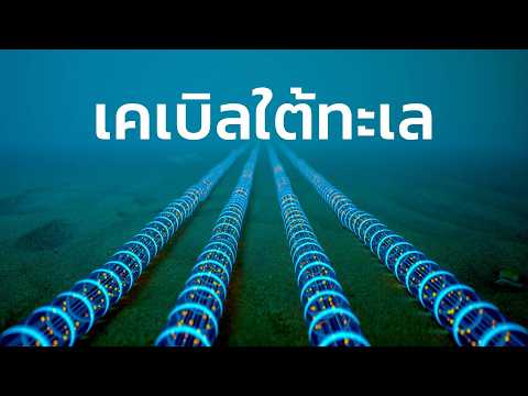 เรื่องยุ่งเหยิงของสายใต้ทะเล thumbnail