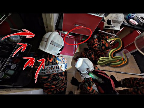 💢IJAT NYARIS DI PATUK ULAR SAMSENG😱 thumbnail