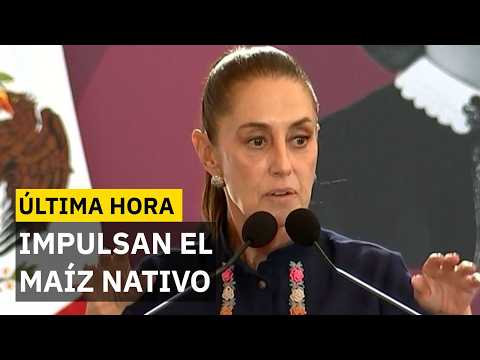 El proyecto del maíz nativo que busca organizar a 200 mil campesinos contra el mercado de EU thumbnail