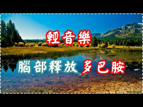 輕音樂 腦部釋放多巴胺 入眠、放鬆、舒緩、休息【1小時】 Relaxing Music, Soothing Music thumbnail