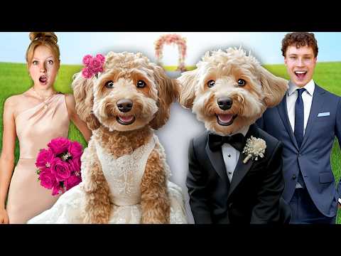 My DOG got MARRIED! In Real Life! thumbnail
