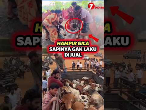NYARIS GILA SAPINYA GAK LAKU thumbnail