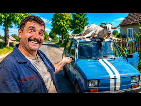 PRZYWIĄZAŁEM KOZĘ DO DACHU MALUCHA | AUTOFUSZERKA #8 thumbnail