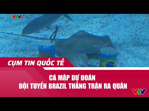 Cá mập dự đoán đội tuyển Brazil thắng trận ra quân | Cụm tin World Cup 2026 | VTV24 thumbnail