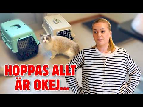 Vi behöver åka till VETERINÄREN...😟 | Vlogg thumbnail