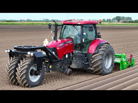 Ridging of Chicory Beds | Case IH Maxxum 125 w/ Hegro Nose Wheel / Trike | Gebr Vos thumbnail