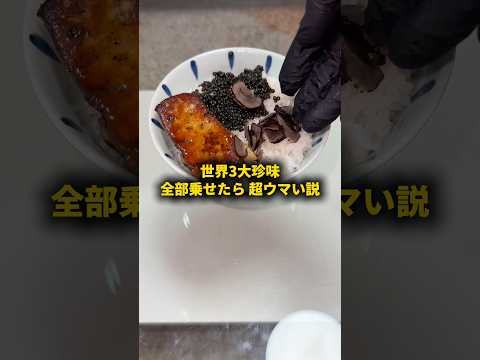 世界三大珍味全部のせたら超ウマい説 #おーがすと #検証 thumbnail