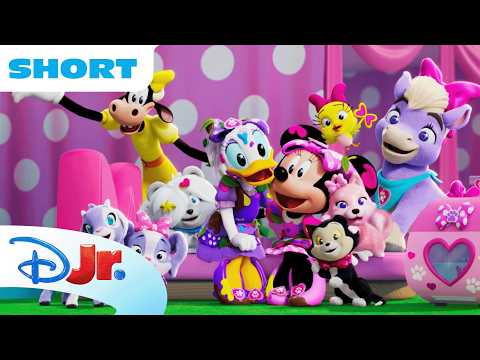 Minnie and Daisy's Mobile Salon for Picture Day! 📸🎀 | Minnie's Bow-Toons: Pet Hotel | @disneyjr thumbnail