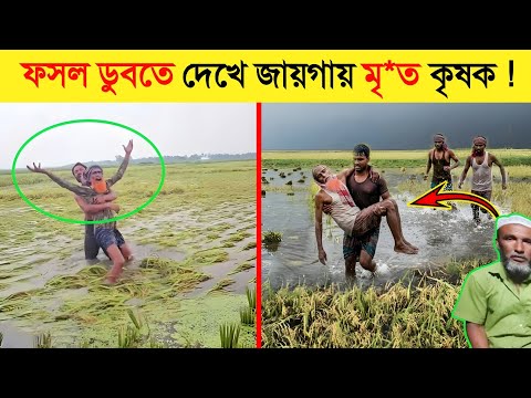 ধান পানিতে তলিয়ে গেছে দেখে কষ্টে জমিতেই কৃষকের মৃ'ত্যু!..! ? |  Flood in Feni | flood news thumbnail